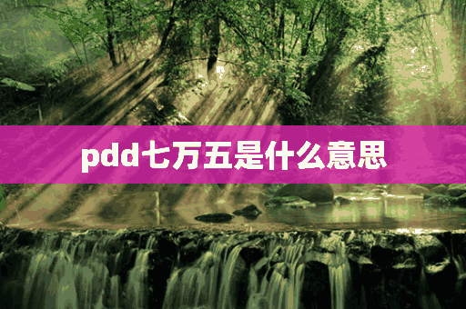 pdd七万五是什么意思